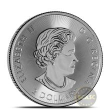 1/2 oz Fine Silver Coin — Curated Prestige Edition (Varied Condition, Any Mint)