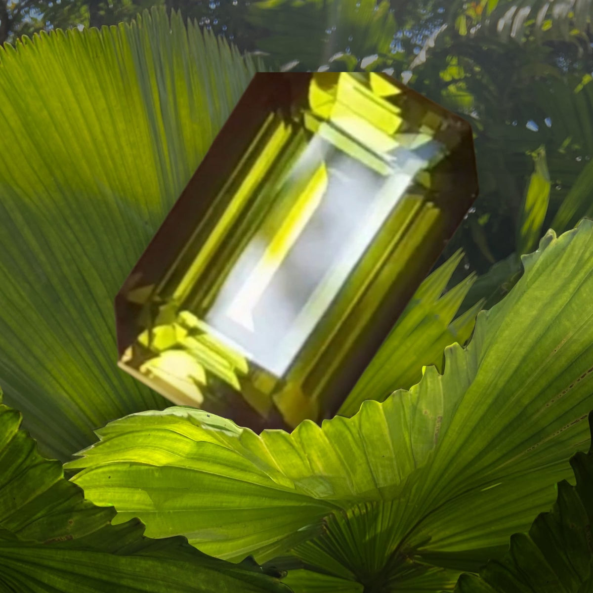 8.79 Carat Natural Green Tourmaline — Sri Lankan Deep Green Luxury Gemstone